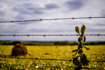 paisagens do dia a dia