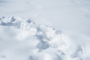 Snow Tracks and Prints in Winter Snowfall