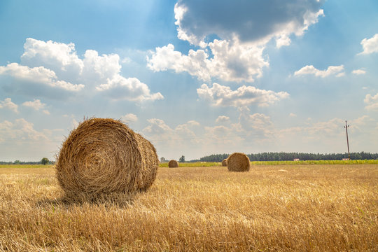 snopki słomy w polu, żniwa