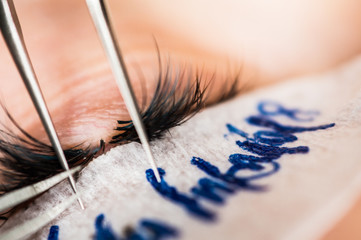 The master of eyelash extensions, the beautician increases eyelashes to the client in the conditions of norm of a disinfection in a beauty salon - obrazy, fototapety, plakaty