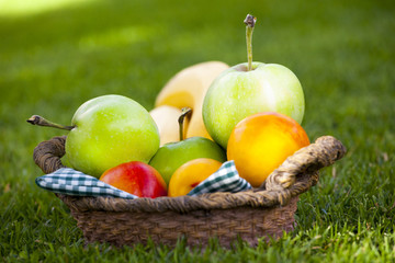 fruits basket summer garden 