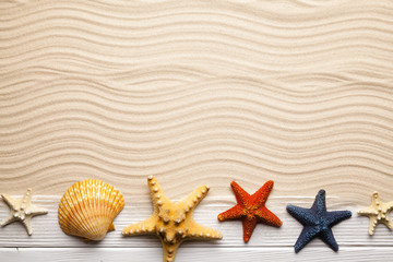 Fototapeta na wymiar Summer beach - shell and starfish on sand