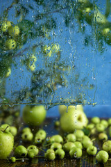 Autumn still life with water drops falling from the glass on wooden table with apples and tree branches, shallow selective focus