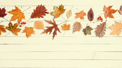 Autumn composition. Border made of dried leaves on pastel yellow wooden background. Autumn flat background. Flat lay, top view, copy space 