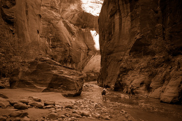 The Narrows - Zion National Park
