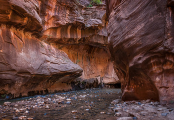 The Narrows - Zion National Park