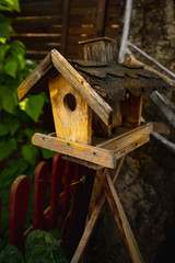 Birdhouse hanging on a tree. Sunshine morning in autumn with grren leafes in background