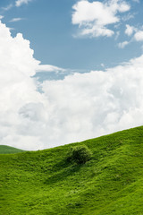 A gentle slope of a green hill with rare trees and lush grass against a blue sky with clouds. The Sonoma Valley