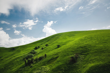 A gentle slope of a green hill with rare trees and lush grass against a blue sky with clouds. The Sonoma Valley