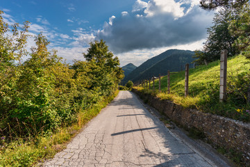 Landscape of asphalt country road in warm sun light in summer under blue cloudy sky