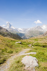 Zermatt, Wallis, Wanderweg, Blauherd, Sunnegga, Matterhorn, Walliser Berge, Alpen, Gletscher, Bergwiesen, Alpenkr&auml;uter, Sommer, Schweiz
