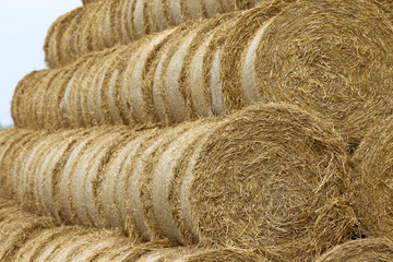 Bales of hay