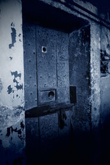 Prison door
