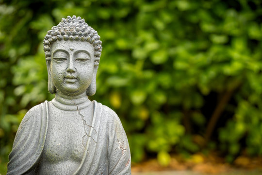 peaceful buddha in green garden