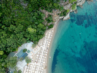 Aerial view of a beach with pines and bright water