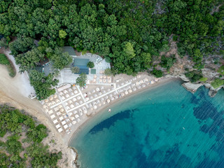 Fototapeta premium Aerial view of a beach with pines and bright water