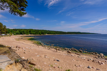 Fototapeta na wymiar Baltic sea coast. Beautiful sandy beach on the Gulf of Finland, Leningrad region, Russia
