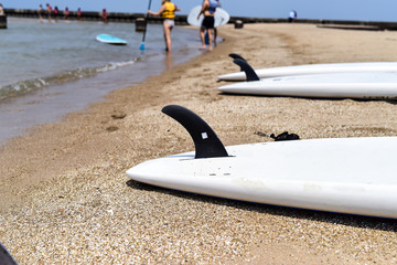 paddle boards along sandy beach 