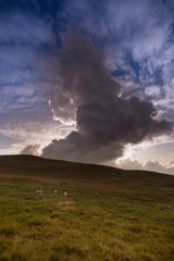clouds above 