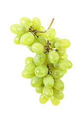 Branch of green grape isolated on white background