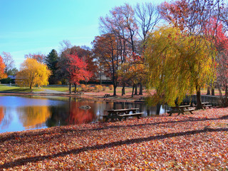 Obraz premium Autumn colours in Wilmington, USA