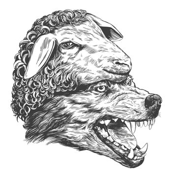 Wolf in sheep s clothing, Christian parable, hand drawn vector illustration realistic sketch