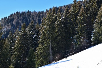 Winter mountain landscape