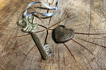 Ein Schlüssel und ein Herz auf einem Baumstamm