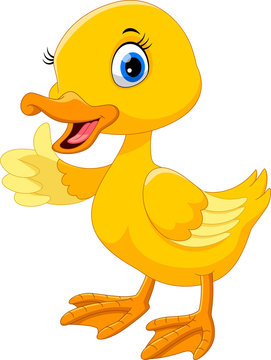 Cute duck cartoon thumb up.