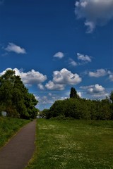 Fototapeta na wymiar Pathway in the park