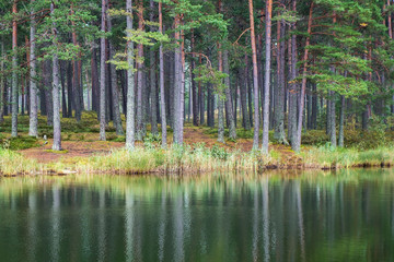 Autumn forest lake