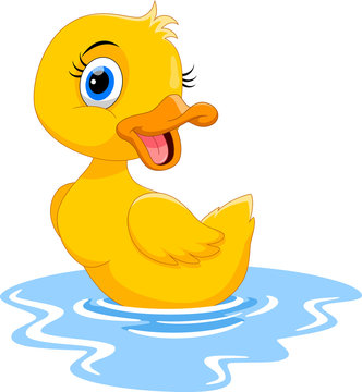 Cute cartoon duck swimming