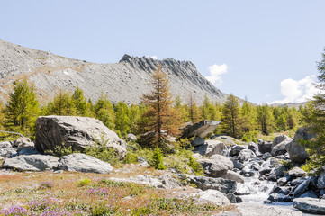 Zermatt, Grindjibach, Bergbach, Gletscher, Blauherd, Sunnegga, Wanderweg, Alpen, Walliser Berge,...
