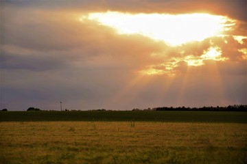 Naklejka na ściany i meble Sunset over a wheat field