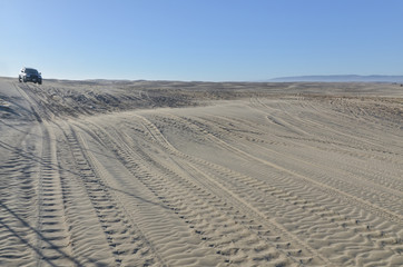 tire prints on the sand  Oceano Dunes State Vehicular Recreation Area, San Luis Obispo county, California, USA