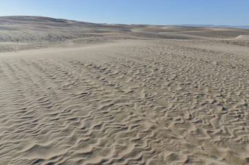 vast sand dunes on Pacific Ocean coast Oceano Dunes State Vehicular Recreation Area, San Luis Obispo county, California, USA