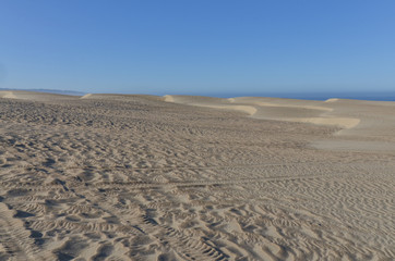 Fototapeta na wymiar vast sand dunes on Pacific Ocean coast Oceano Dunes State Vehicular Recreation Area, San Luis Obispo county, California, USA