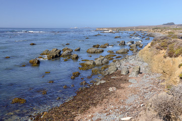 Fototapeta na wymiar rocky shores of Pacific ocean nearby to Piedras Blancas point San Luis Obispo county, California, USA
