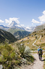 Zermatt, Findeln, Findelschlucht, Sunnegga, Wanderweg, Matterhorn, Alpen, Wanderer, Wallis, Walliser Berge, Bergwiesen, Alpenblumen, Sommer, Schweiz