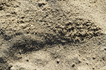 sand texture close up