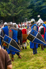 Obraz premium Knight games Ehrenberg 2018