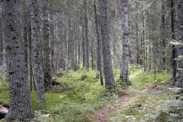 Sweden, Stockholm, old town, palaces, castles, architecture