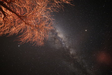 sky with stars © Francisco