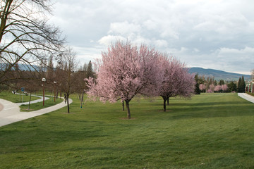 Obraz premium スペイン