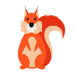 Squirell flat illustration