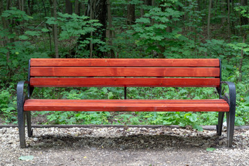 Bench in the city park
