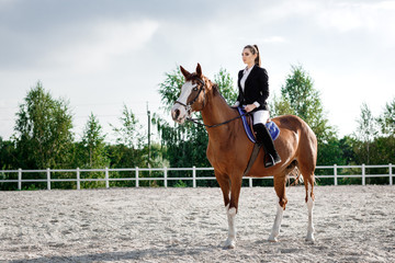 Rider elegant woman riding her horse outside