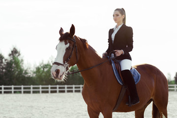 Obraz premium Rider elegant woman riding her horse outside