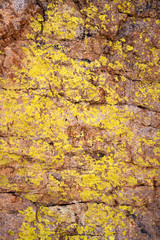 Rock face texture