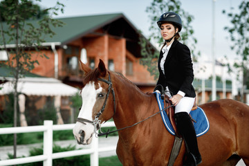Obraz premium Rider elegant woman riding her horse outside